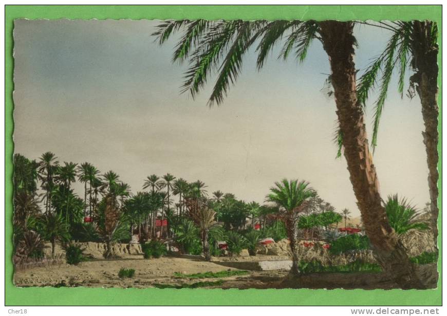 Colomb Bechar la palmeraie