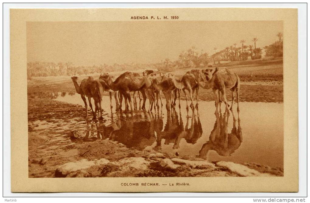 ALGERIE  1930 agenda PLM  COLOMB BECHAR la riviere ( chameaux  )