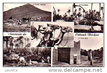 Souvenir de Colomb Béchar  multi-vues