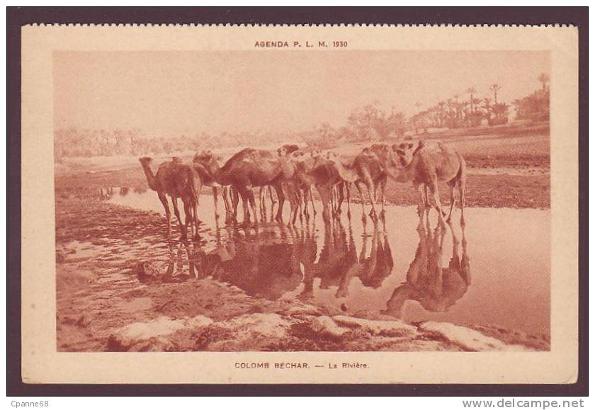COLOMB-BECHAR - La rivière