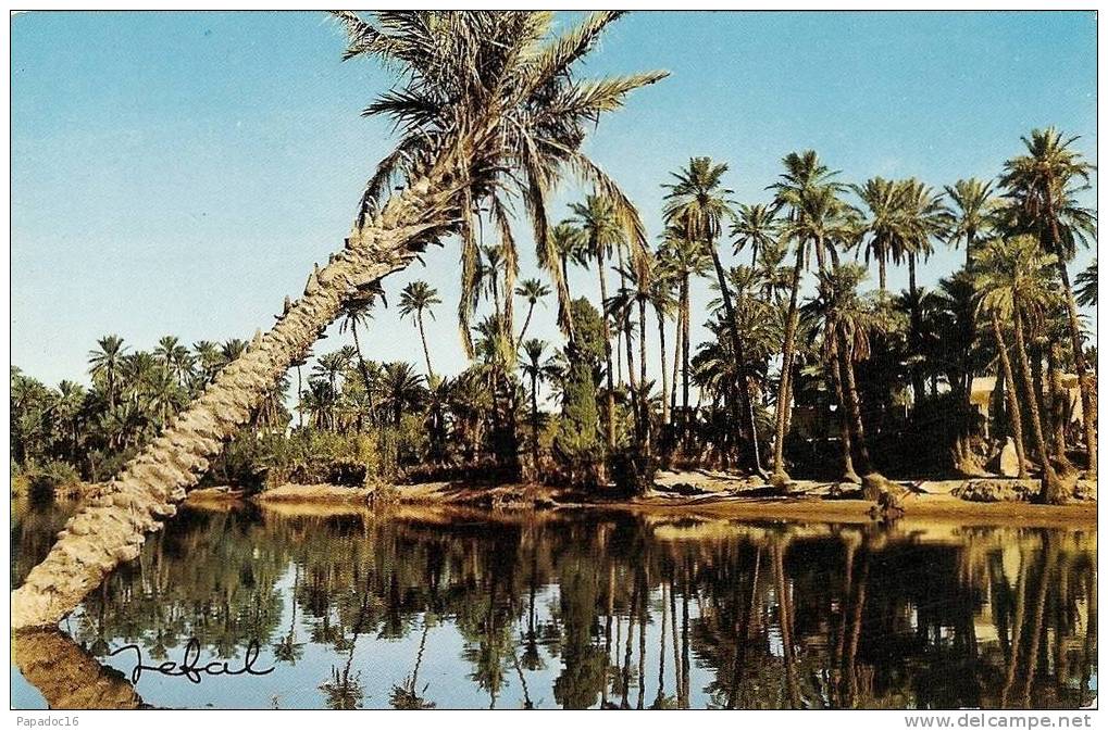 DZ - Bechar - L´Oued - CPM éd. Jefal n° 4022 (non circulée) - [Colomb-Béchar]