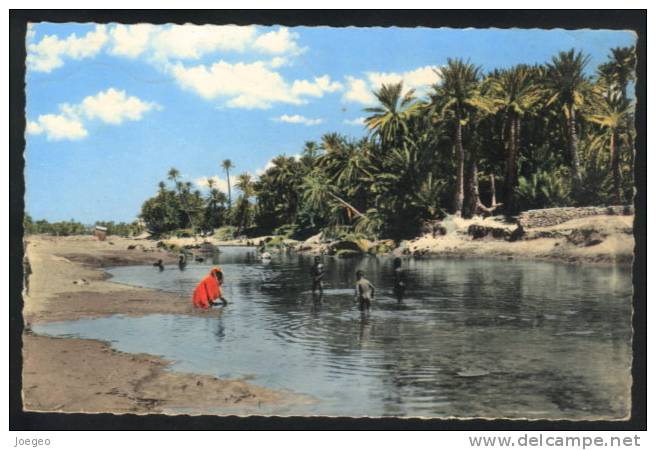 (D878) - Colomb-Bechar (Saoura) - Oued Béchar, lieu de baignade et lavoir