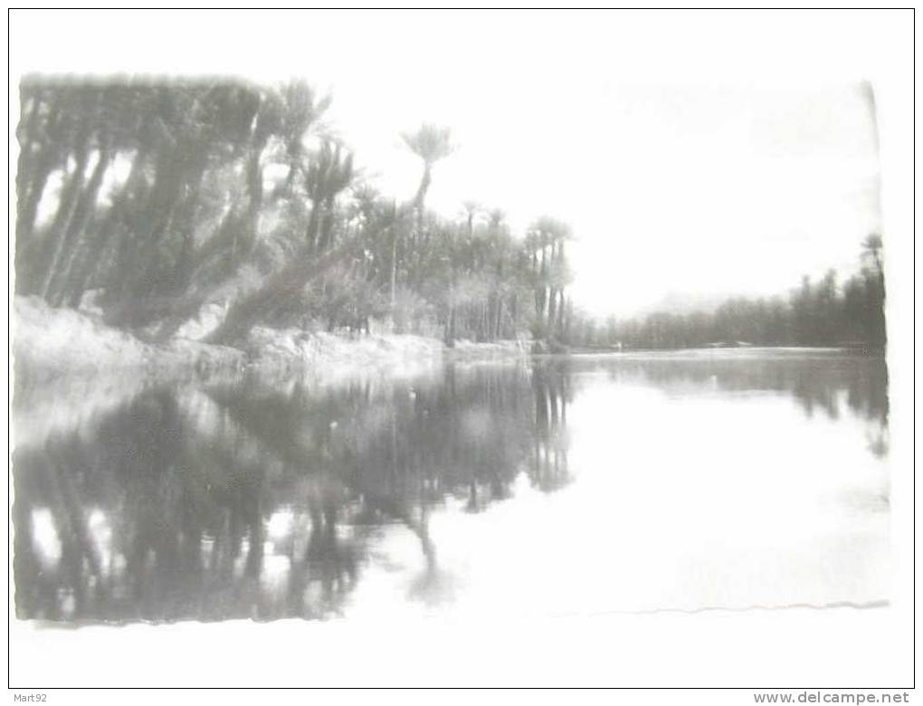 COLOMB BECHAR VUE DE L OUED