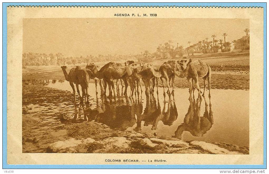 CARTE POSTALE COLOMB BECHAR LA RIVIERE