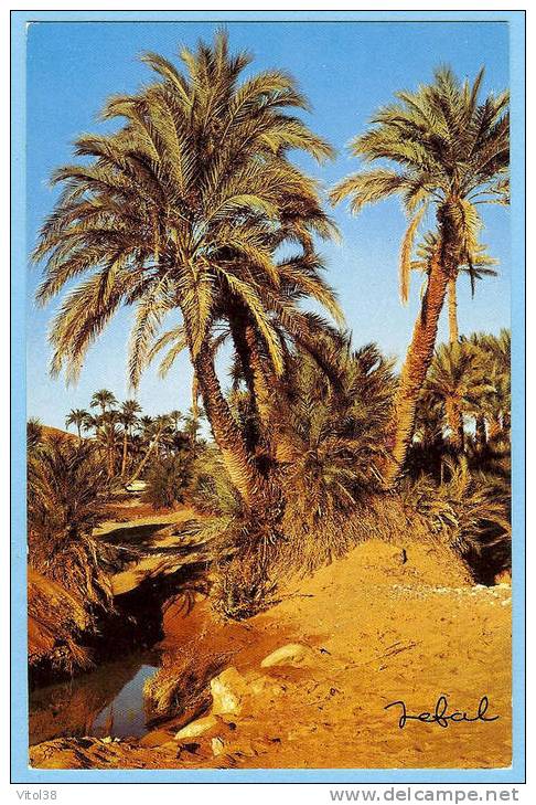 CARTE POSTALE 4054 BECHAR L'OASIS . EDITIIONS JEFAL 15 BOULEVARD MOHAMMED KHEMISTI ALGER