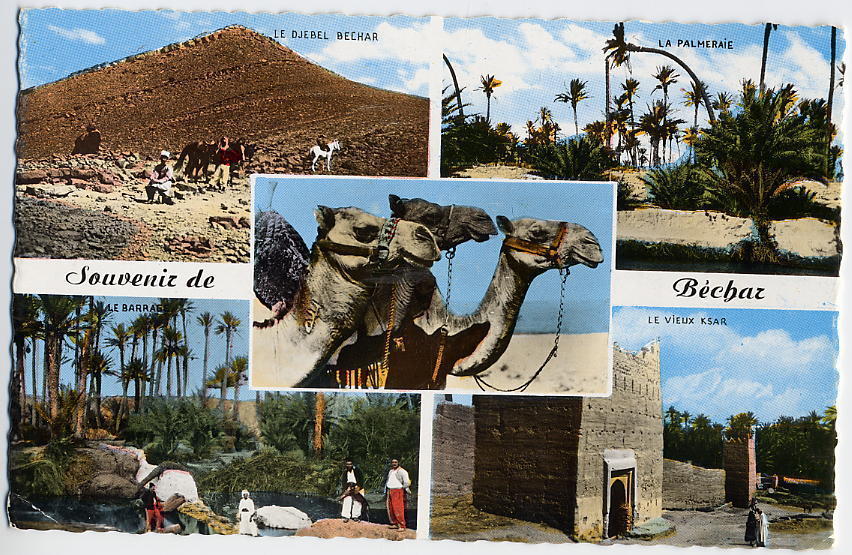 SOUVENIR DE BECHAR  -  CPSM MULTIVUES