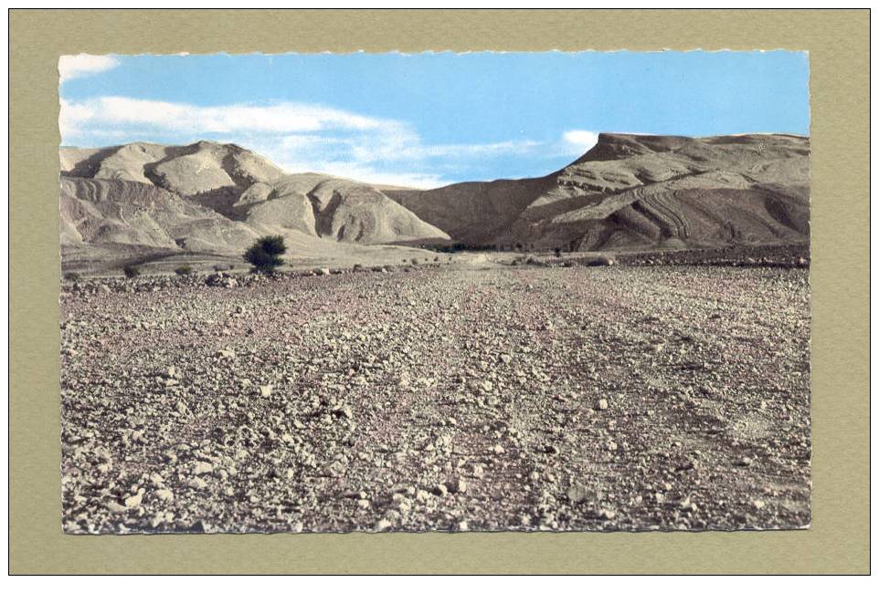 ALGERIE BECHAR PISTE DE DJENIEN AU FOND LE DJEBEL BECHAR