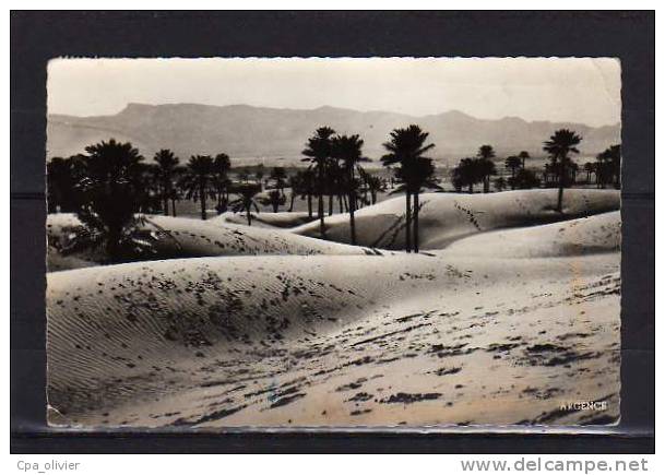ALGERIE Colomb Béchar Dunes de Sable, Djebel Béchar, ed Argence 13, CPSM 9x14, 1957