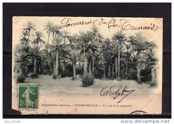 ALGERIE Colomb Béchar Palmeraie, ed Geiser *, Extrème Sud Oranais, 190? *** ETAT ***