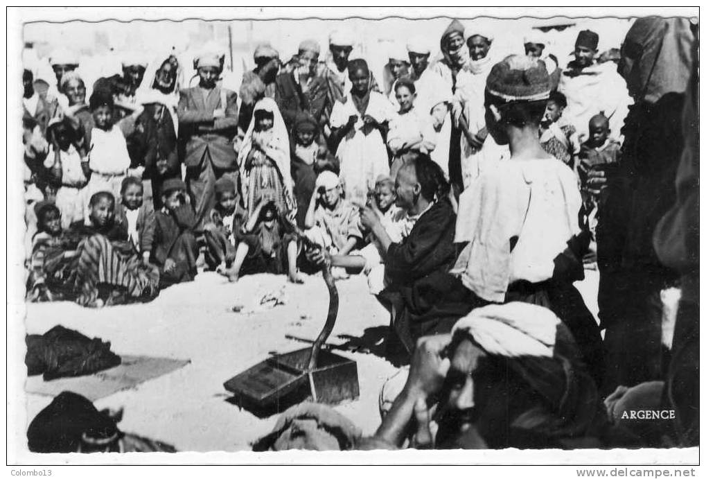 ALGERIE CPSM  COLOMB BECHAR SCENE DE RUE CHARMEUR DE SERPENTS