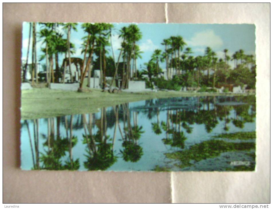 CPSM  COLOMB  BECHAR  N°12 LA PALMERAIE