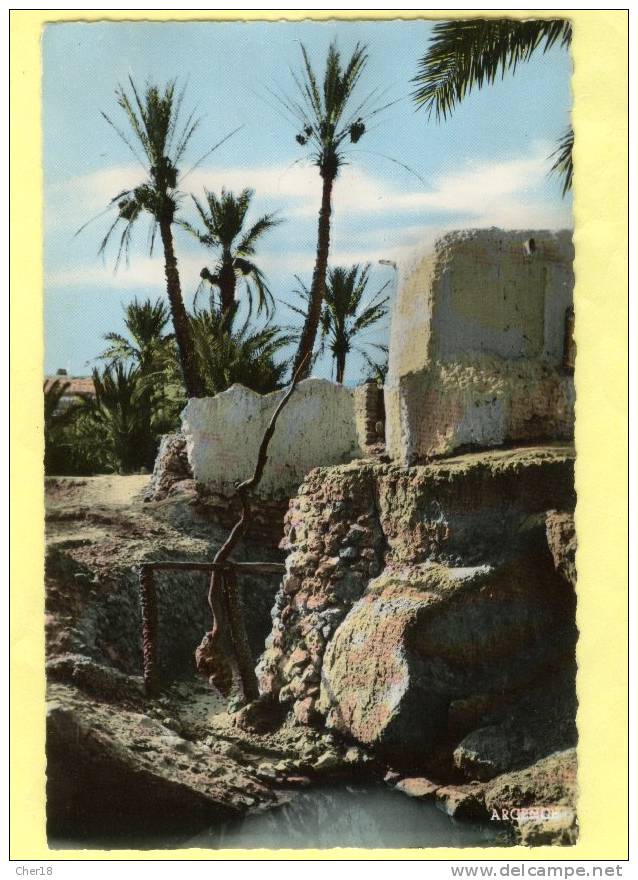 19 Colomb Bechar Ougda puits Ecrite