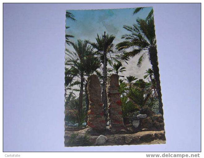 (342) - 1 - carte postale sur colomb bechar un puits