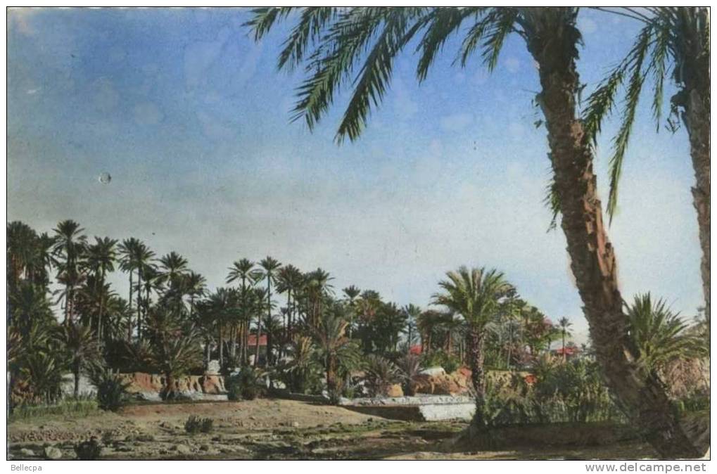 COLOMB BECHAR La Palmeraie