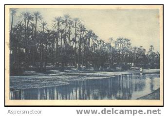 COLOMB BECHAR - LA RIVIERE CPA NEUVE NON ECRITE RARE PALMIERS - ALGERIE UNCIRCULATED 1935