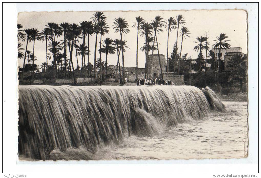 CPSM COLOMB-BECHAR , L'OUED EN CRUE , 1957