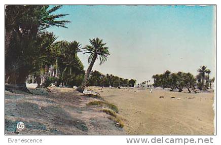 COLOMB BECHAR L OUED   REF10179