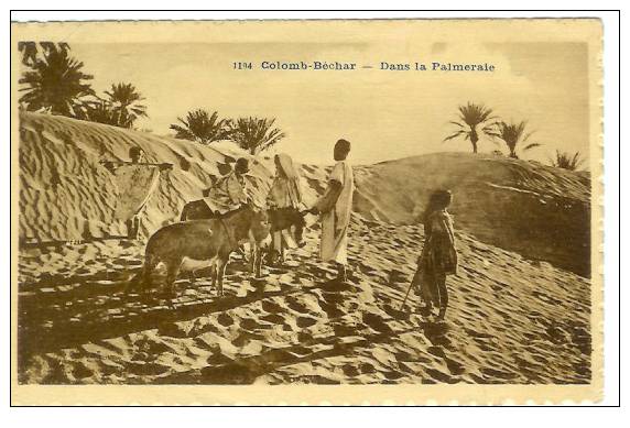 CPA COLOM BECHAR, dans la Palmeraie, animée.