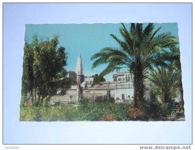 (342) - 1 - carte postale sur colomb bechar vue