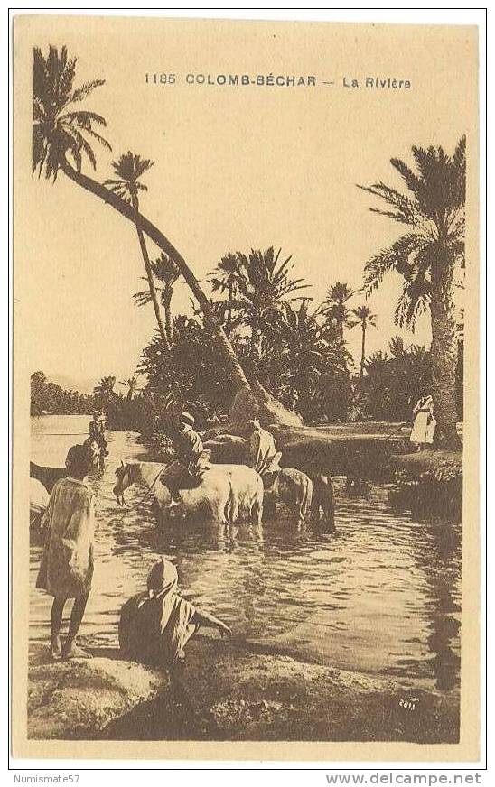 CPA ALGERIE - COLOMB BECHAR - La Rivière - Animée
