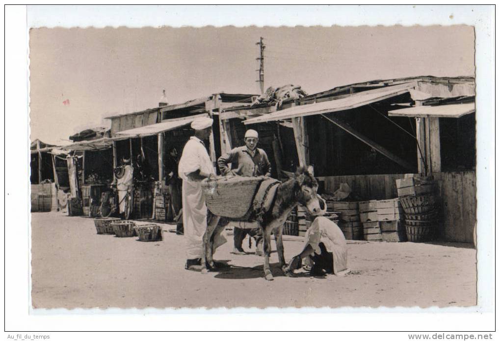 CPSM COLOMB-BECHAR , LE MARCHE