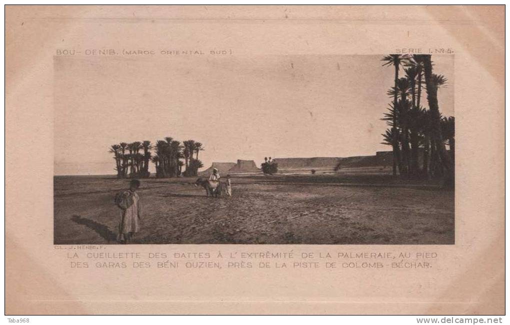 CPA LA CEUILLETTE DES DATTES PRES DE LA PISTE DE COLOMB BECHAR.