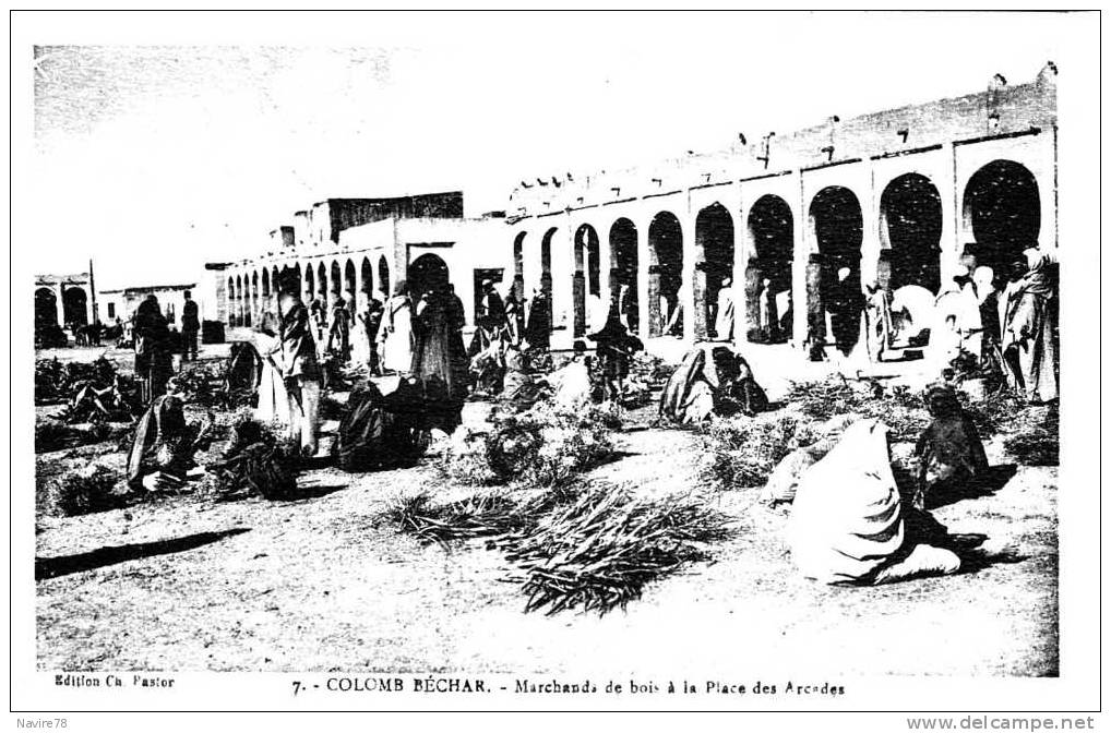 ALGERIE cpa COLOMB BECHAR  MARCHANDS DE BOIS