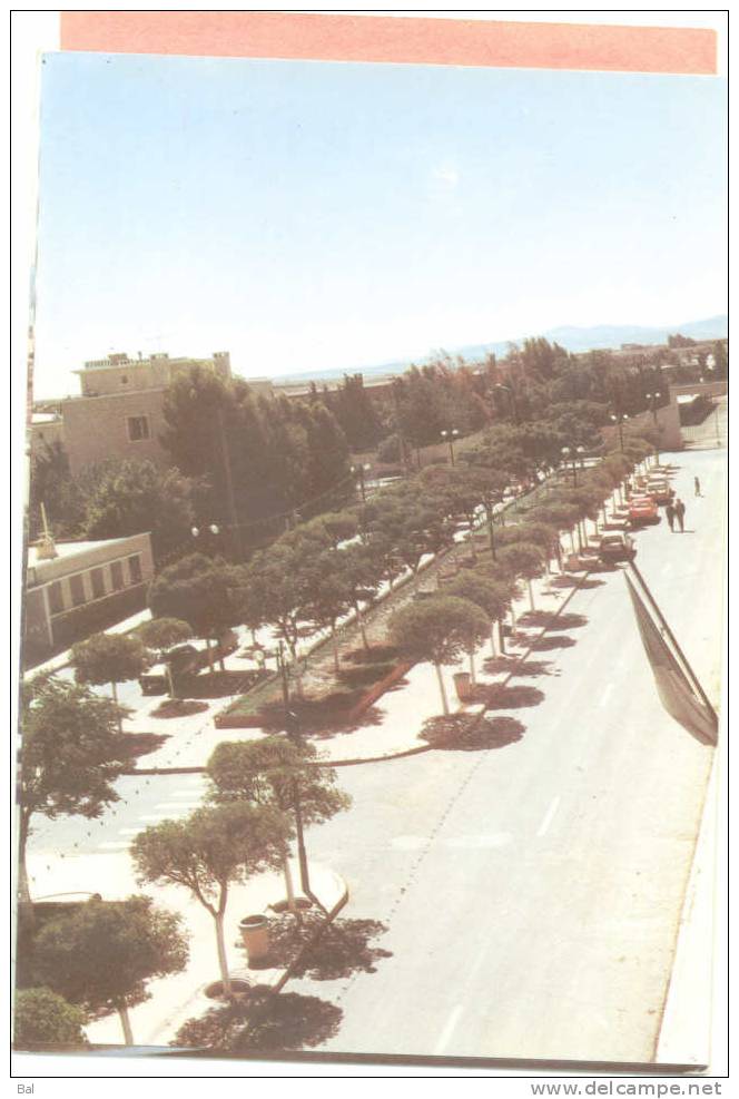 Algérie - Batna  les allées Ben Boulaïd