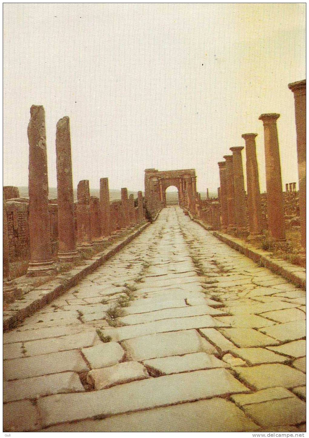 Algérie  (Batna) - TIMGAD   - carte  écrite   au dos en 1984  , pas de marque postale* PRIX FIXE