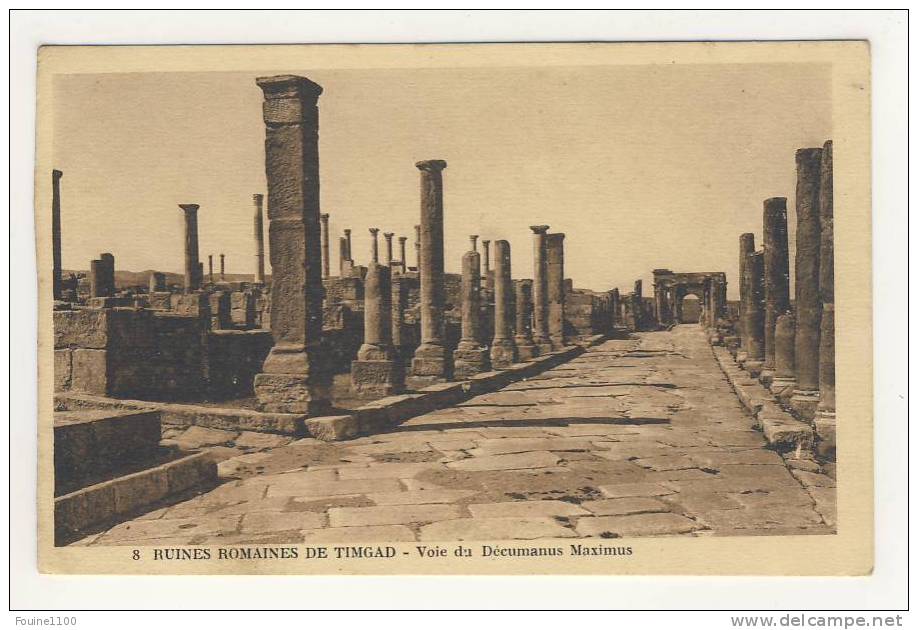 ruines romaines de timgad  ( près de batna ) voie du décumanus maximus