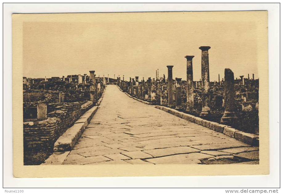 ruines romaines de timgad  ( près de batna ) voie du cardo maximus nord