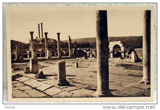 cpa Timgad Algérie - 40 km à l'est de Batna - le Marché de Sertius et le Capitole -