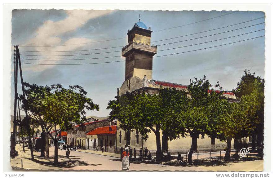 BATNA   La grande Mosquée