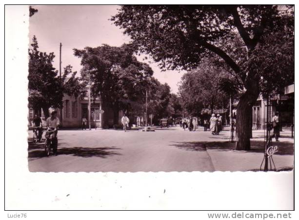 BATNA - L´Avenue de France