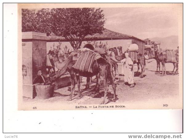 BATNA -  La Fontaine BOCCA - n° 65