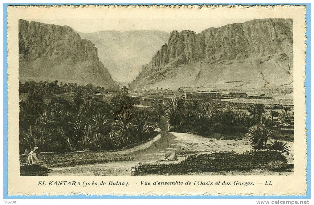 CARTE POSTALE EL KANTARA PRES BATNA VUE ENSEMBLE DE L´OASIS ET DES GORGES . LL