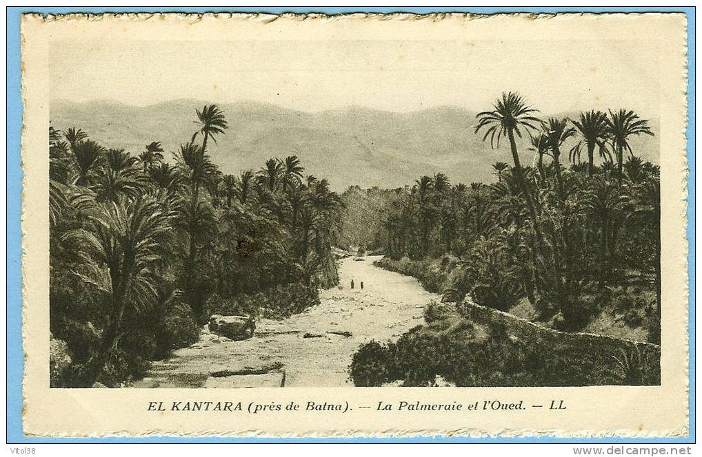 CARTE POSTALE EL KANTARA PRES BATNA LA PALMERAIE ET OUED . LL