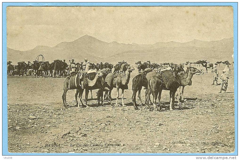 CARTE POSTALE 62 BATNA  LE PIC DES CEDRES CARAVANE . ND PHOT .