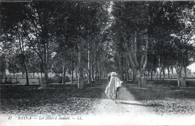 ALGERIE.Batna.Les allées d'Aumale.