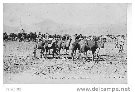 BATNA  LE PIC DES EDRES  CARAVANE