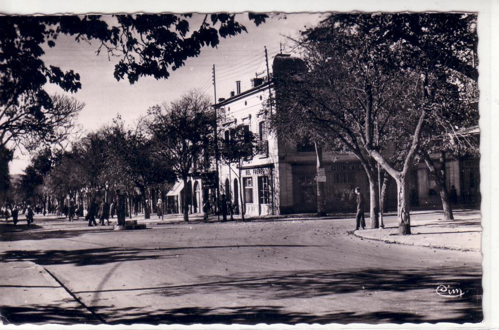 ALGERIE, BATNA, AVENUE DE FRANCE