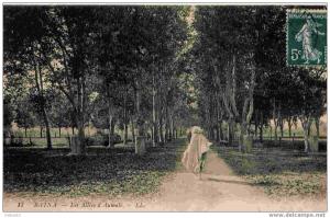 17 - BATNA - Les allees d'Aumale - LL