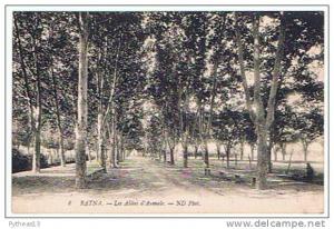 BATNA - Les allées d´Aumale