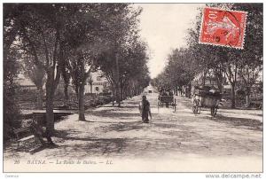 2656    BATNA  la route de biskra  circulée