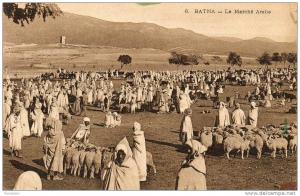 CPA - ALGERIE - BATNA - Le marché arabe - N°6 - circulée en 1910