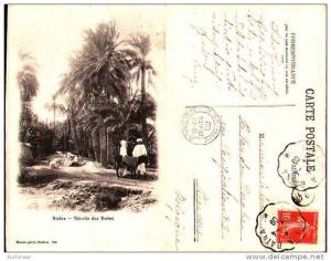 Maure, 134 - Biskra - récolte des dattes (cachet ambulant Biskra à Batna)