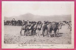 ALGERIE   080  BATNA  Le Pic des Cédres  Caravanes