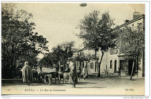 CPA...DE BATNA...ANIMEE AVEC ANIMAUX ET COMMERCE...LA RUE DE CONSTANTINE...