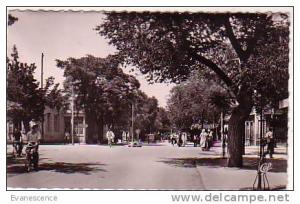 BATNA AVENUE DE FRANCE REF 3557