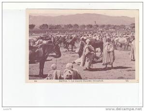 BATNA - Le Grand Marché Indigène - n° 59